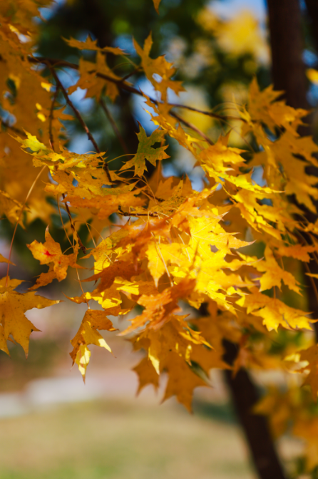 1732114066500501.png 1732114066500501.png