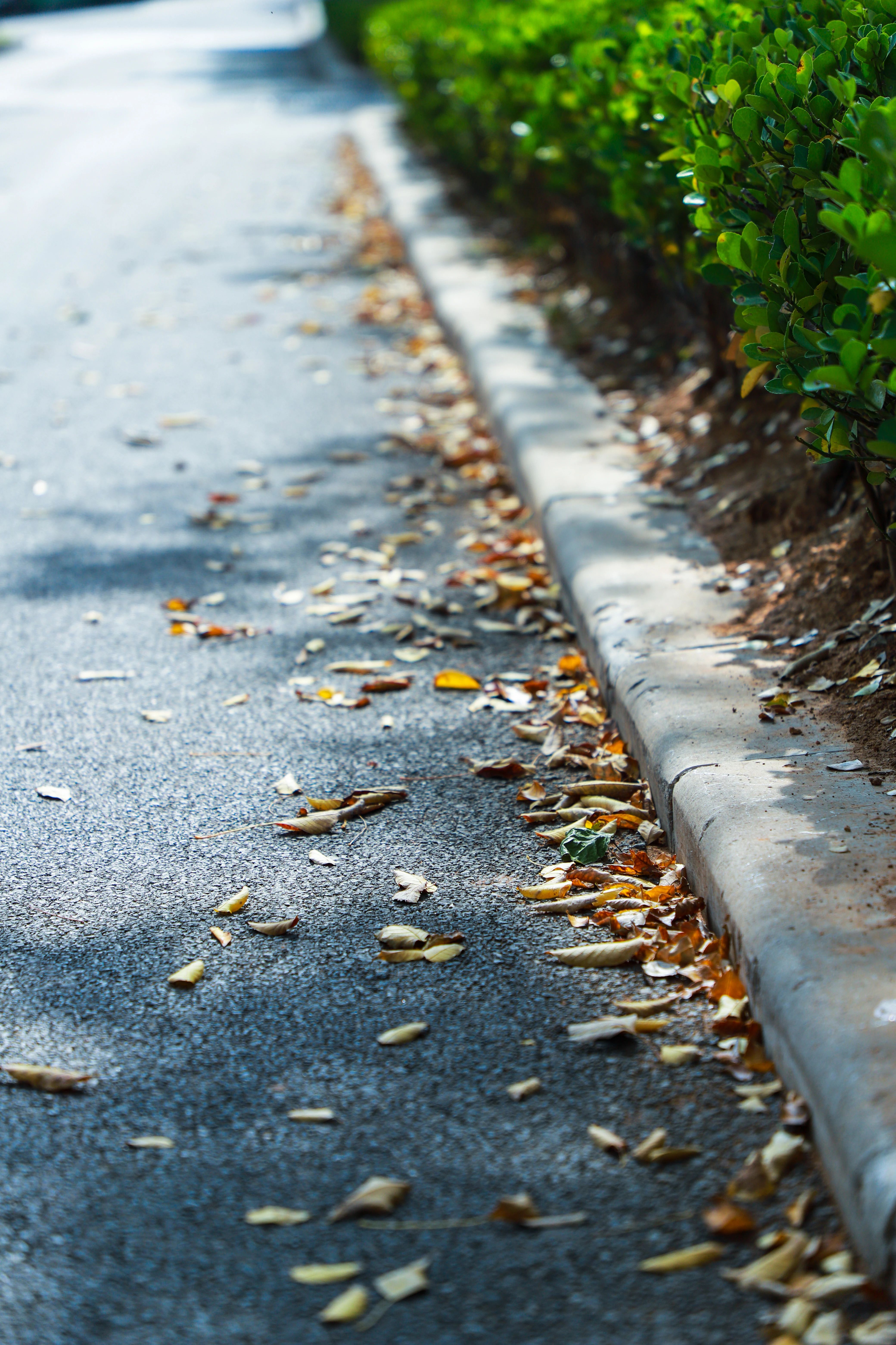 1732114387768606.jpg 1732114387768606.jpg